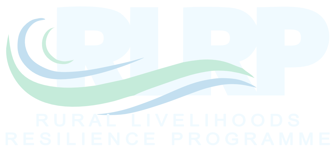 Platinum Web-preloader Logo